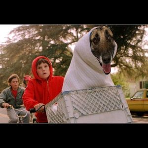 Meet your Posher, Jason